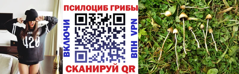 Псилоцибиновые грибы мицелий  где купить   Новомичуринск 